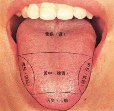 东方易元教你如何运用舌头进行养生！